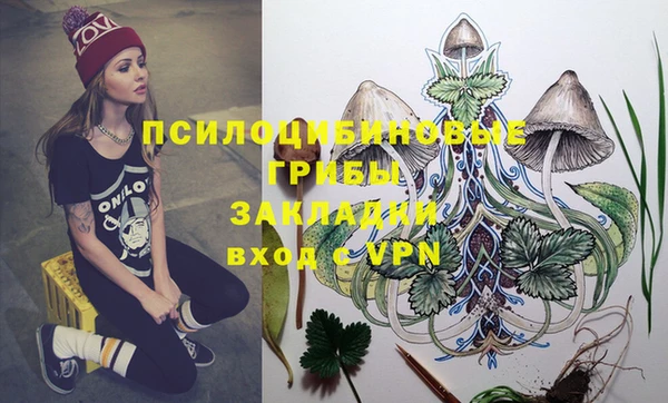 spice Алзамай