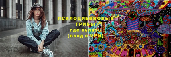 меф Переславль-Залесский
