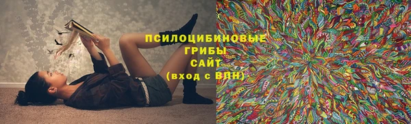 сатива Алексин